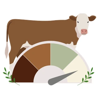 Farmeter Beef