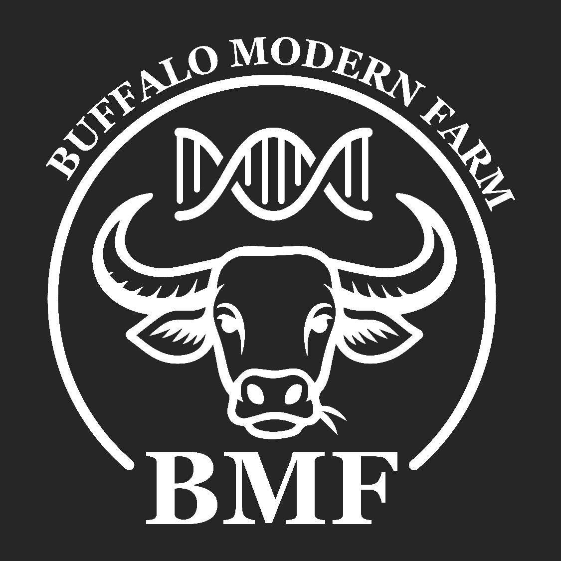 Buffalo Modern Farm (BMF)